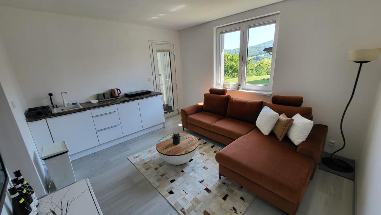 Apartman S Bazenem A Saunou Kadaň Extérieur photo