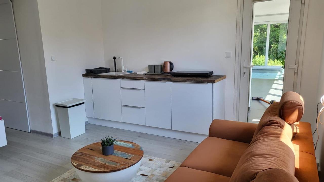 Apartman S Bazenem A Saunou Kadaň Extérieur photo